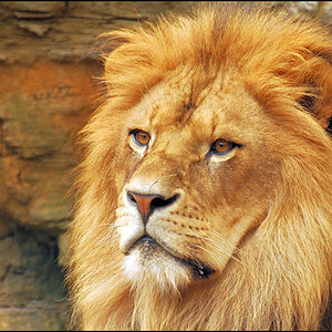 Wuppertaler Zoo 22.8.10 011