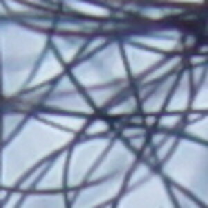DSC06700b