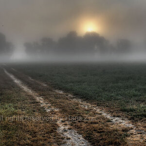 Nebelmorgen