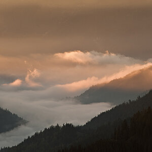 golden fog