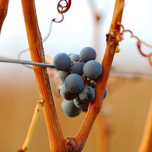 Herbst 01