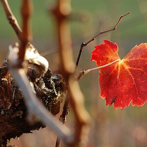 Herbst 02