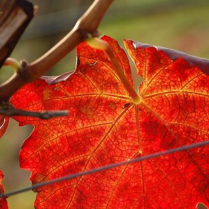 Herbst 03