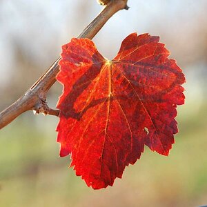 Herbst 04
