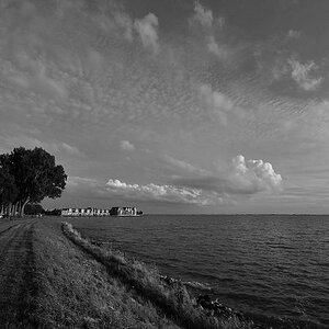 Hoorn