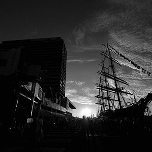 Amsterdam Sail