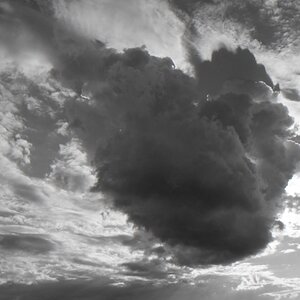 NF B 2010 09 05 17 31 58 sw