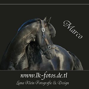 Friese