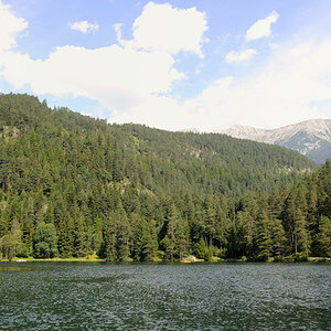 sp austria20100012