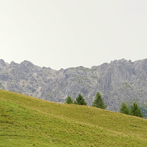 sp austria20100016