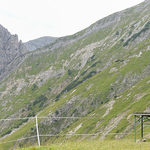sp austria20100020