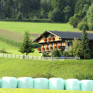 sp austria20100028