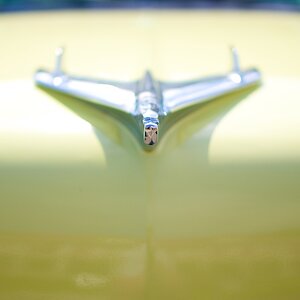Presidio Cars 4