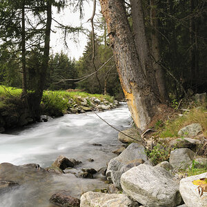 sp austria20100059