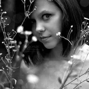 more one: flickr.com/photos/nana-photography
