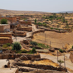 DSC 5992