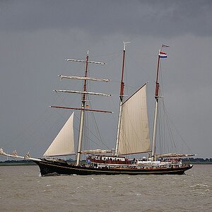 Golden Leeuw