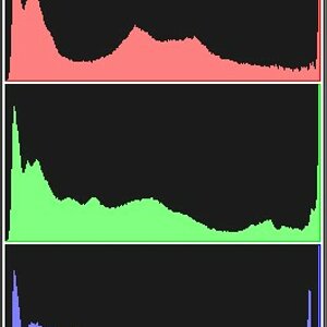 Histogram