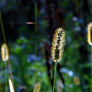 herbst 10