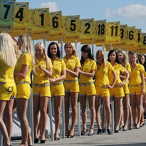 Unverzichtbar: Grid Girls