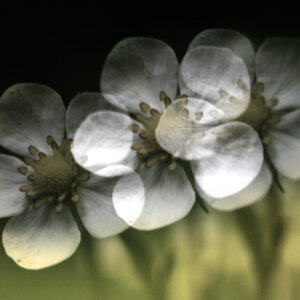 20100520 165114 01