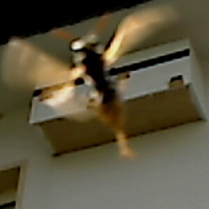 2010 06 22   14 51 05   5346524   CamAlert