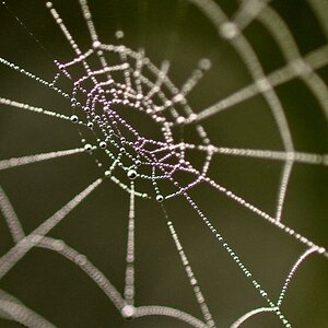 web4NF