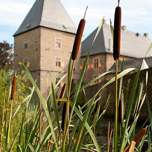 Wasserburg Haus Kemnade