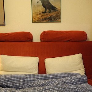 01 2 WB Auto mit Blau Raum1 web