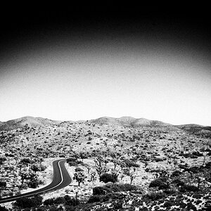 Roadtrip CA 2010 201