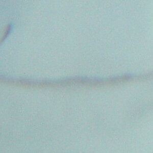 DSC06584b