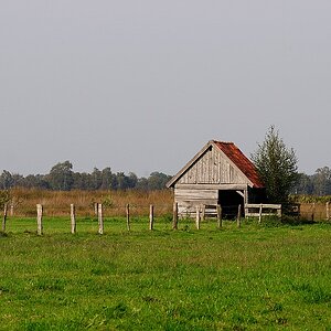 0211Viehunterstand1