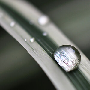 DSC0001 00370 crop