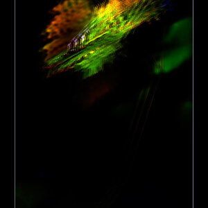 FensterDSC 0131