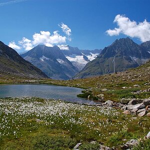 Maerjelensee