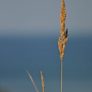 comp DSC 2549p 2