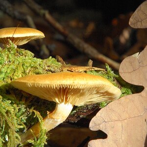 DSC 0751 web