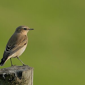 comp 2010 10 07 17.16