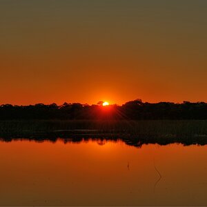 comp DSC 2876