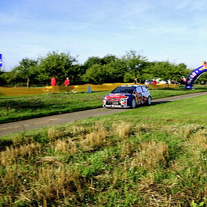 Shakedown
Loeb