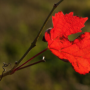 2010 10 10  DSC3746 hsw
