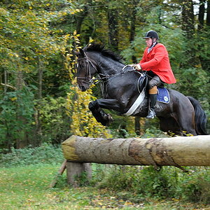 2010100911555800 herrenchiemsee 3