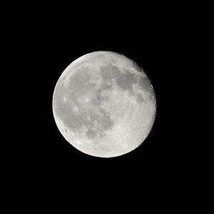 comp Mond1