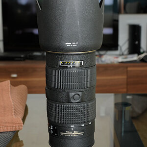 802004
