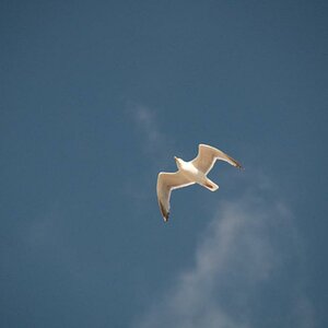 Sommer 2010 5