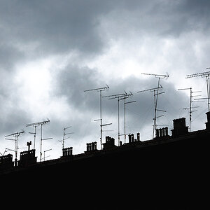 Antennenwald