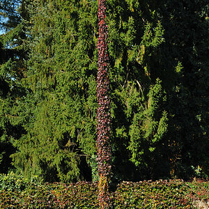 DSC 5330