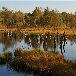 acomp duvens.brook 0534
