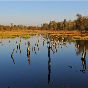 acomp duvens.brook 0543