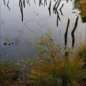 acomp wittmoor 0071